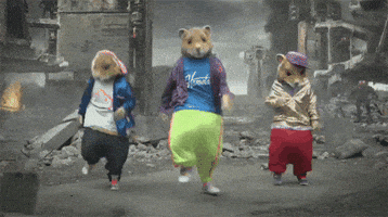 Dancing Hamster GIF