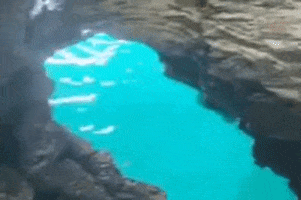 Going In Swimming GIF by Bermemes