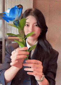 Suzy GIF