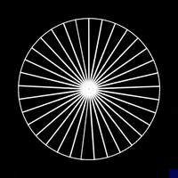 black and white animation GIF by The New Big Poppa E