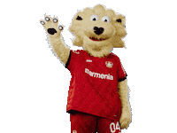 Bayer 04 Hello Sticker by Bayer 04 Leverkusen