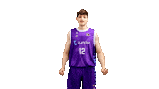 Celebrating Liga Endesa Sticker by ACB