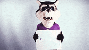 Congratulations Congrats GIF by Southwest Baptist University
