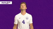 Purple Aces Evansville GIF by UE Athletics