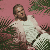 Happy Miami Vice GIF by Jukebox Saints