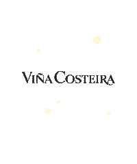 Perseidas Sticker by costeira