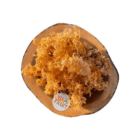 Red Algae Sticker by Miami Fruit