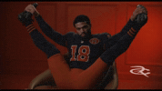 Chicago Bears GIF by Respective
