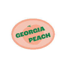 lexieireland georgia peach ga peachy Sticker