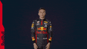 Red Bull F1 GIF by Red Bull Racing