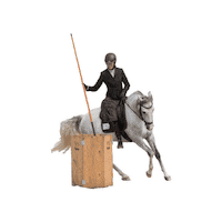 snuitable horseriding lusitano working equitation garrocha Sticker