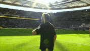 florian kohfeldt sport GIF by SV Werder Bremen