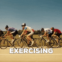 GIF by Skratch Labs