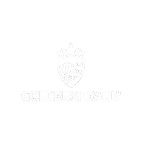 Beverly Hills Chicago Sticker by goldRush Rally