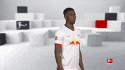 Posing Line Up GIF by Bundesliga