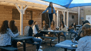 Pick Me High School GIF by Tequila Mockingbird Productions