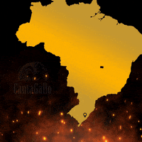 CantaGallo churrasco evolucao farofa churrasqueiro GIF