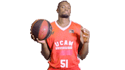 Liga Endesa Basketball Sticker by ACB