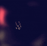 animation design GIF by Swanee