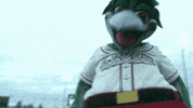 greatlakesloons fun celebration mascot minor league baseball GIF