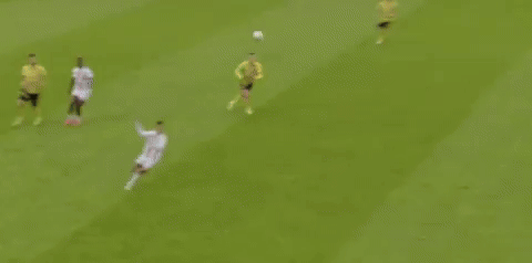 kareljedlika giphyupload GIF