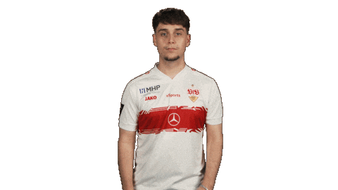 Vfb Stuttgart Applause Sticker by Bundesliga