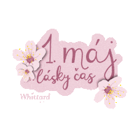 Pink Love Sticker by Whittard CZ