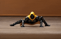 Fun Laugh GIF by CaptainBNB