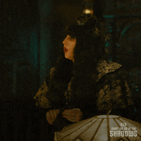 Fx Networks Comedy GIF by What We Do in the Shadows