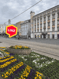 Spring Wow GIF by Linz News