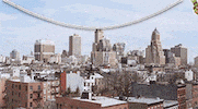 new york lol GIF by Teenage Mutant Ninja Turtles