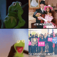 Kermit The Frog Virginia GIF