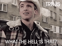 What The Hell Wtf GIF by Travis