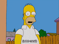homer simpson GIF