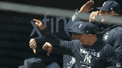Major League Baseball Sport GIF by MLB