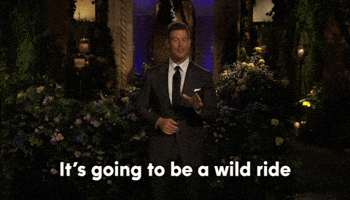 Jesse Palmer Abc GIF by The Bachelorette