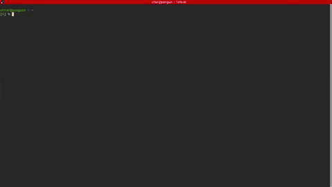 2xdropout giphygifmaker terminator linux cli GIF