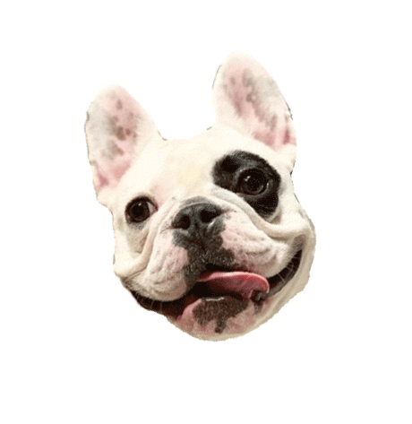 Dog R29 Sticker by Refinery29