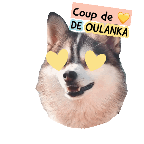 Pawsitivepetambassadeur Sticker by Pawsitive pet