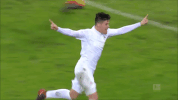 football soccer GIF by 1. FC Köln