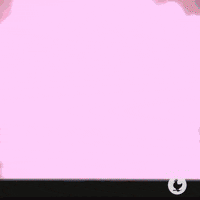 happy rock and roll GIF by Zaxby's