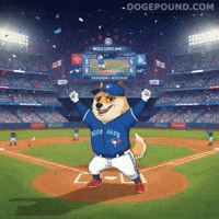 Happy Lets Go GIF by Doge Pound
