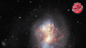 James Webb Nasa GIF by ESA Webb Space Telescope