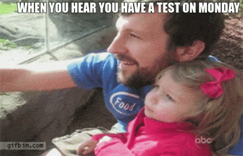mdahl2 giphygifmaker what i want to do to teachers on monday GIF
