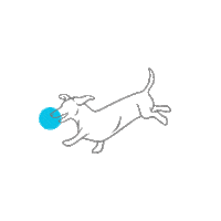 Swintonpickleball Sticker by Campbell Creative