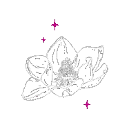 brandingbyjuls pink white flower stars Sticker