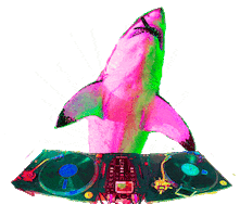 Party Dancing Sticker by Shark Week