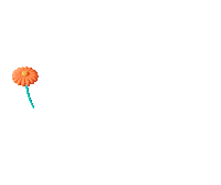 Feliz Hksf Sticker by olgatanonoficial