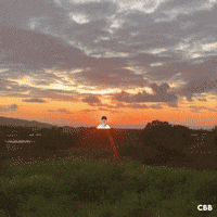 Arizona Diamondbacks Baseball GIF