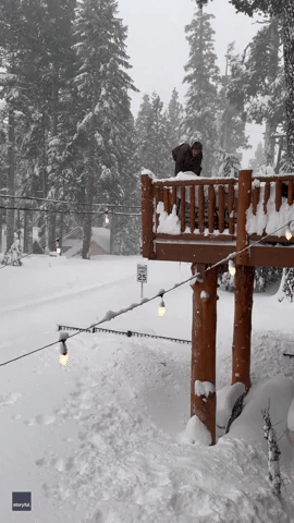 Man Backflips Into Snow in Lake Tahoe